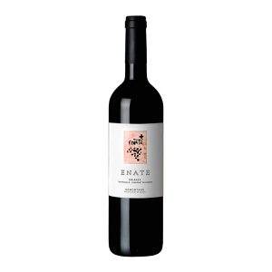 ENATE TEMP. CABERNET CRIANZA
